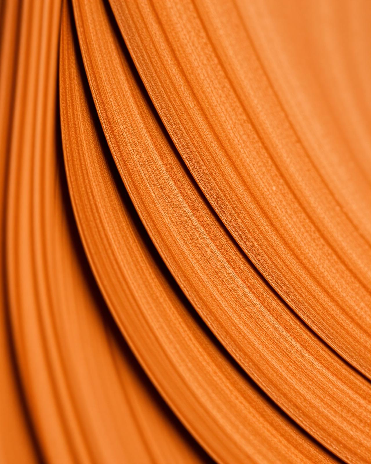 Macro detail of book-matched wood veneer leaves